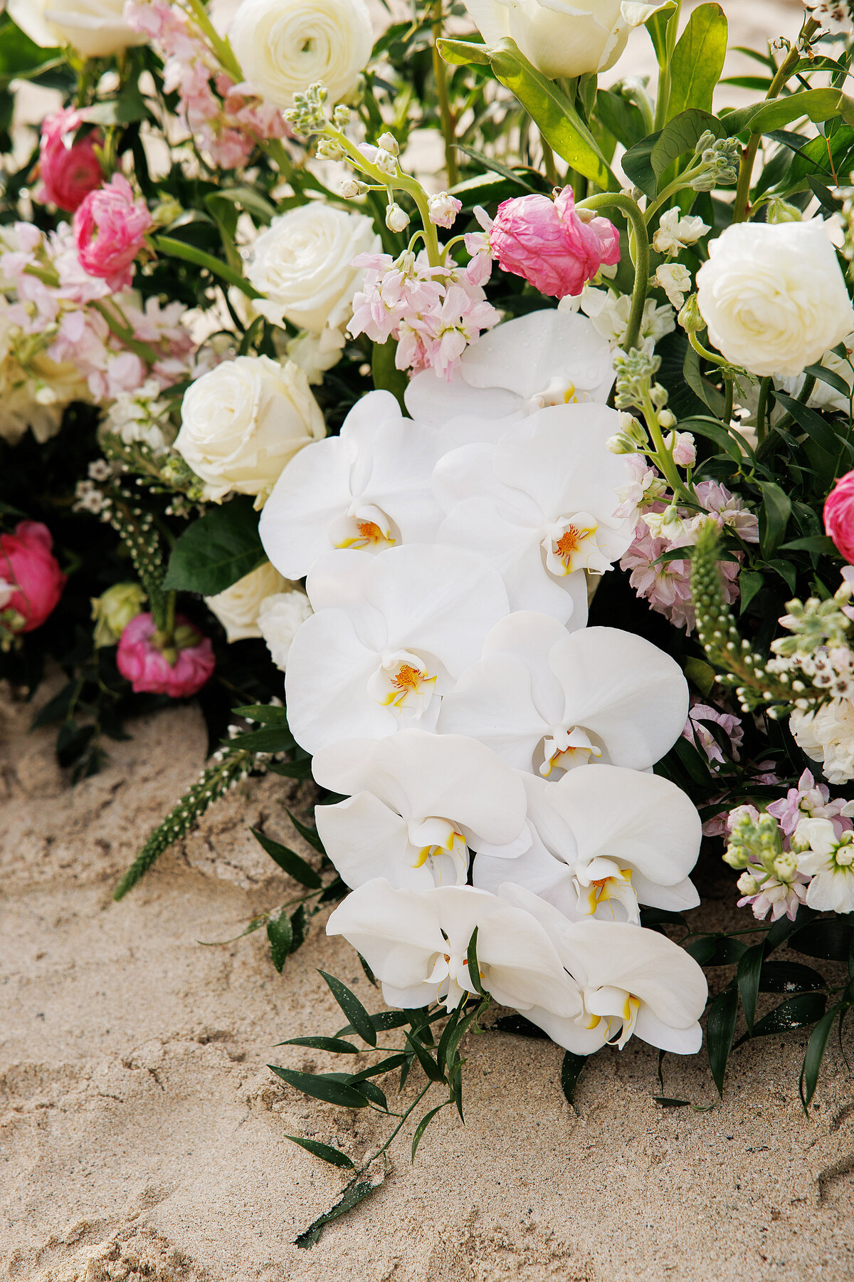wedding at oppenheimer beach st john