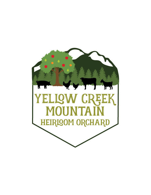 Yellow-Creek-Mtn