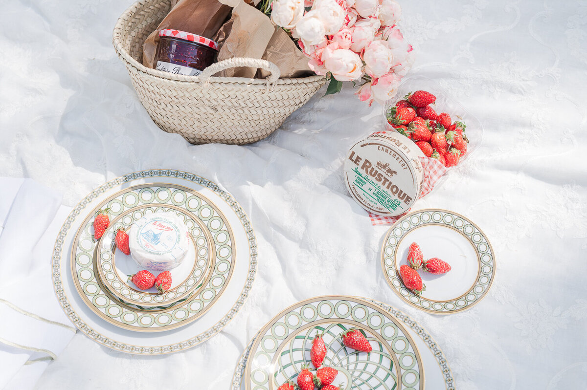 Engagement-shoot-picnic-in-France-1-30