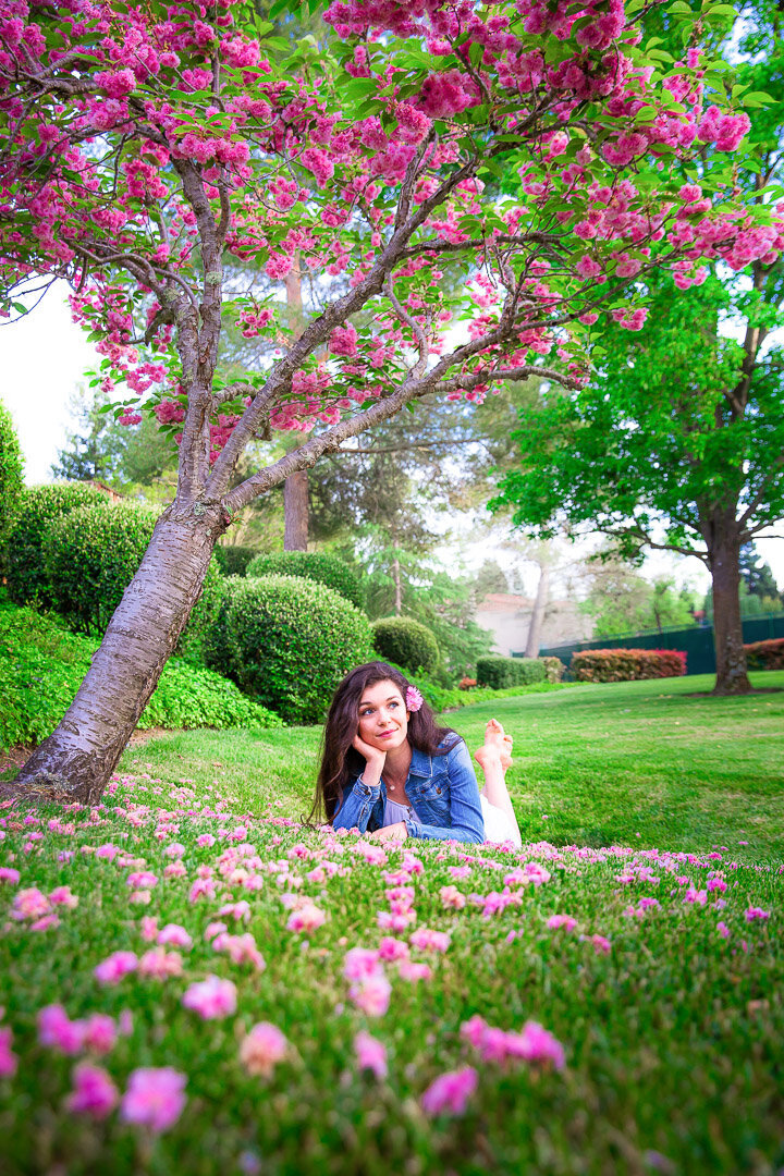 *Mal pink favorite cherry blossom (1 of 1) copy