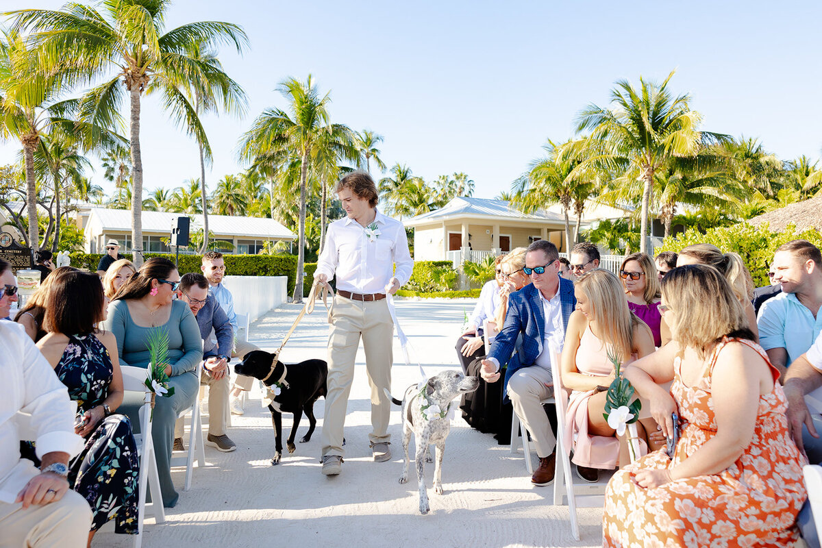 Guests seated on a sandy beach, waiting for Ashley and Hunter’s ceremony to begin under palm trees.