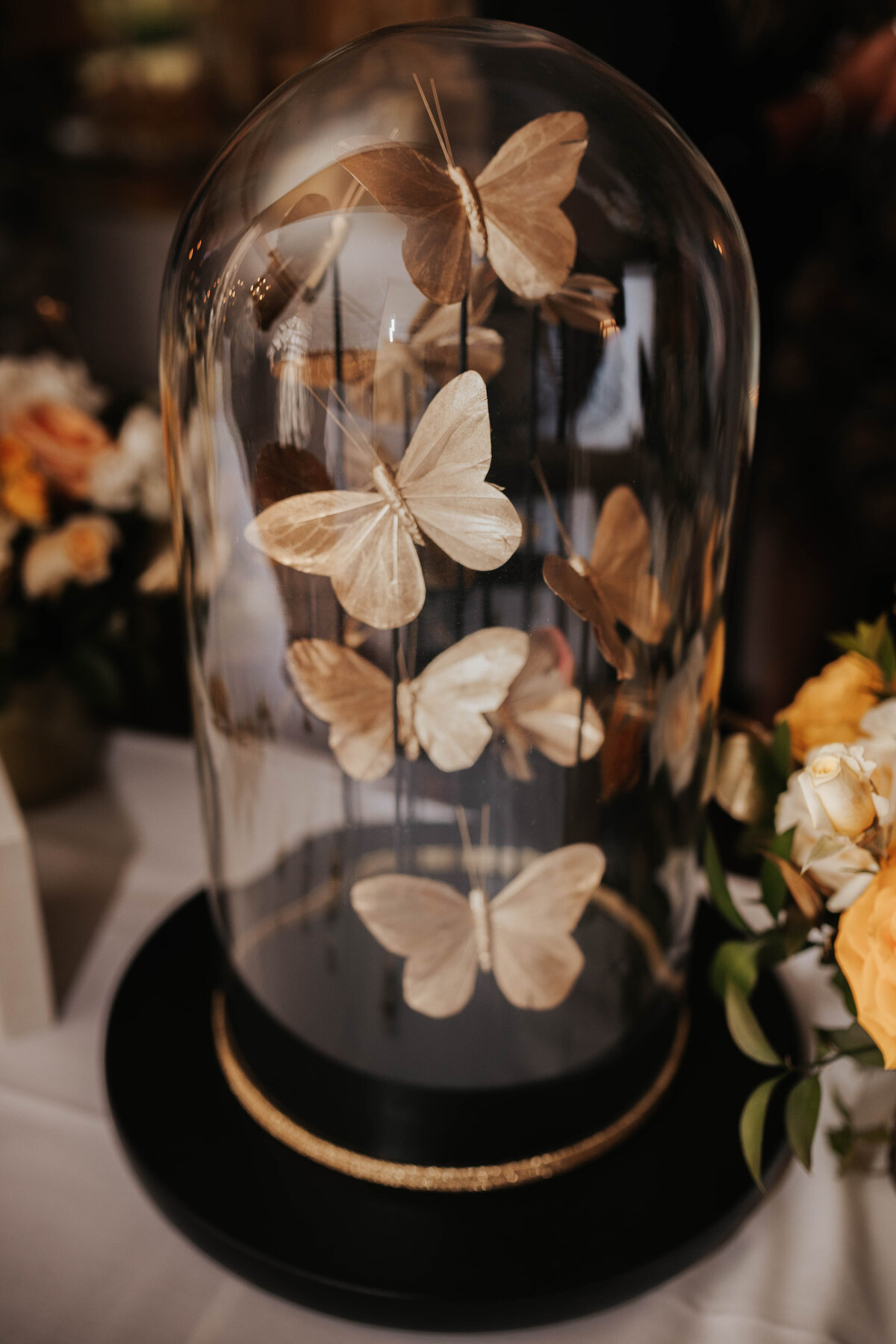 maskery-birch wedding182 (1 of 1)