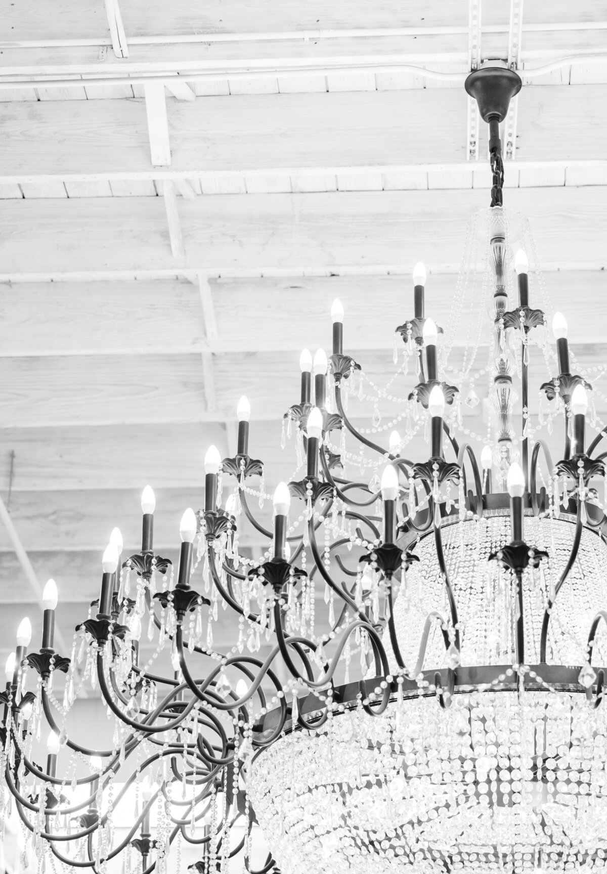 147-2023-McKenzieAustin-JanaMarie