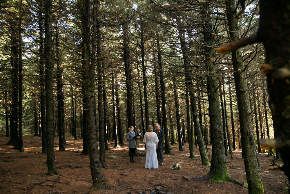 06Piedmont Triad Elopement