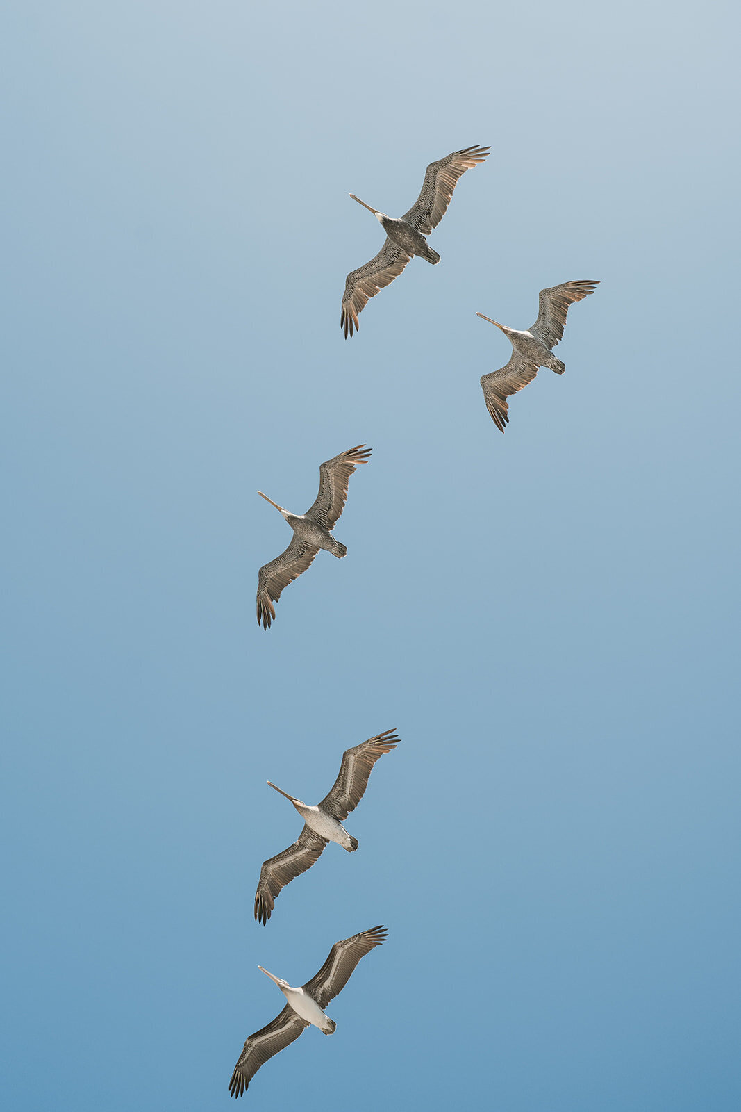 special-event-planner-california-beach-luncheon-2