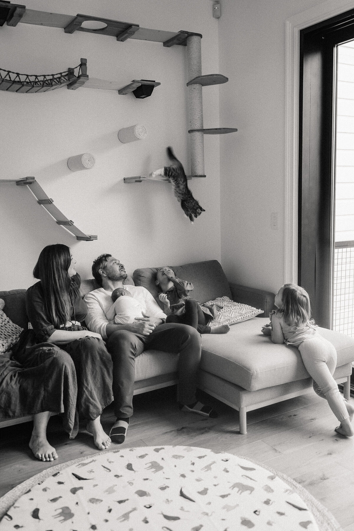 Candid moment of San Francisco family on couch with cat jumping at in home lifestyle photography session