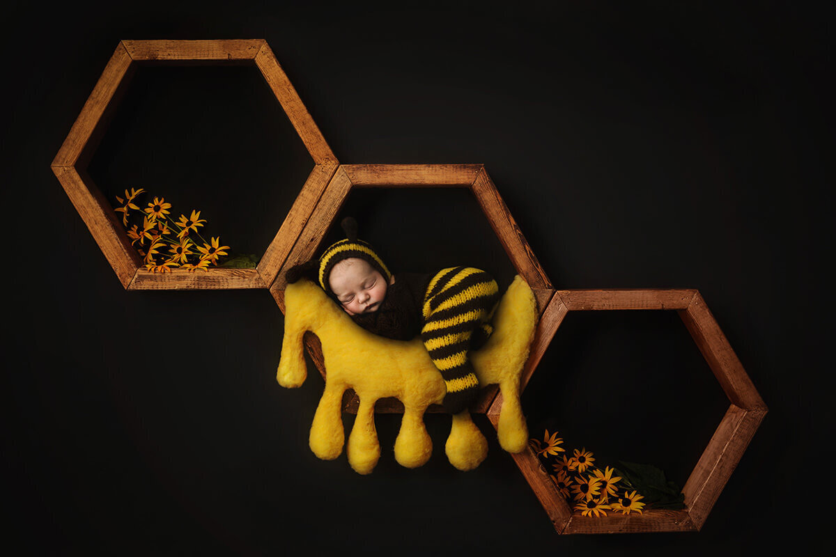 Springfield-Newborn-Photographer-61