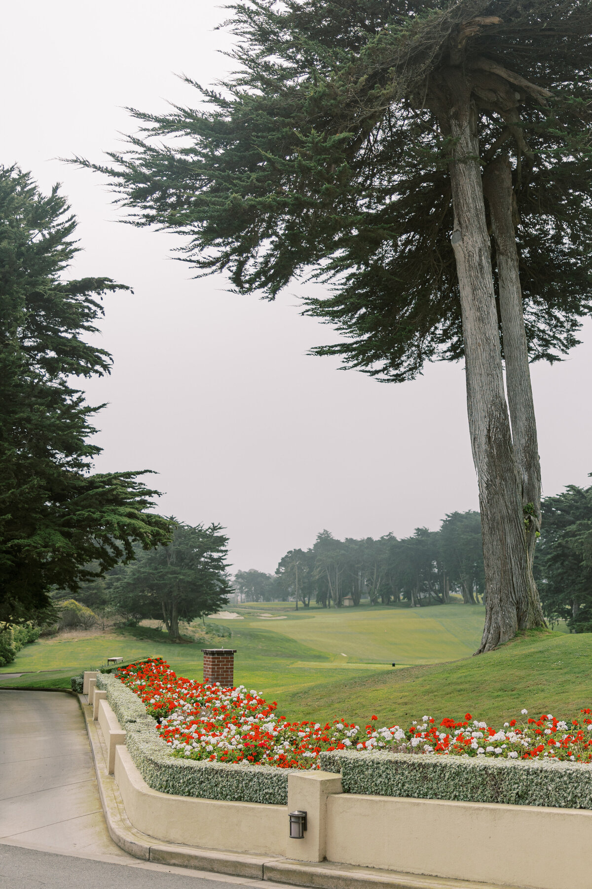 Olympic Club San Francisco Wedding-4