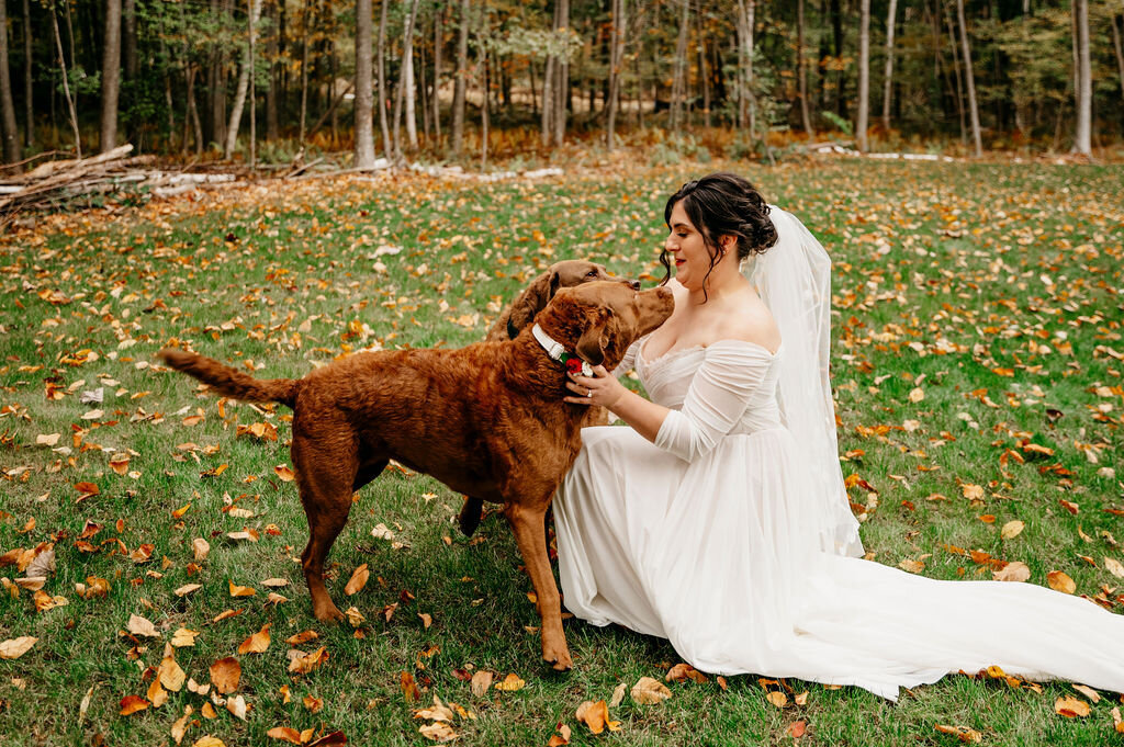 Kate_and_Josh_Wedding_242
