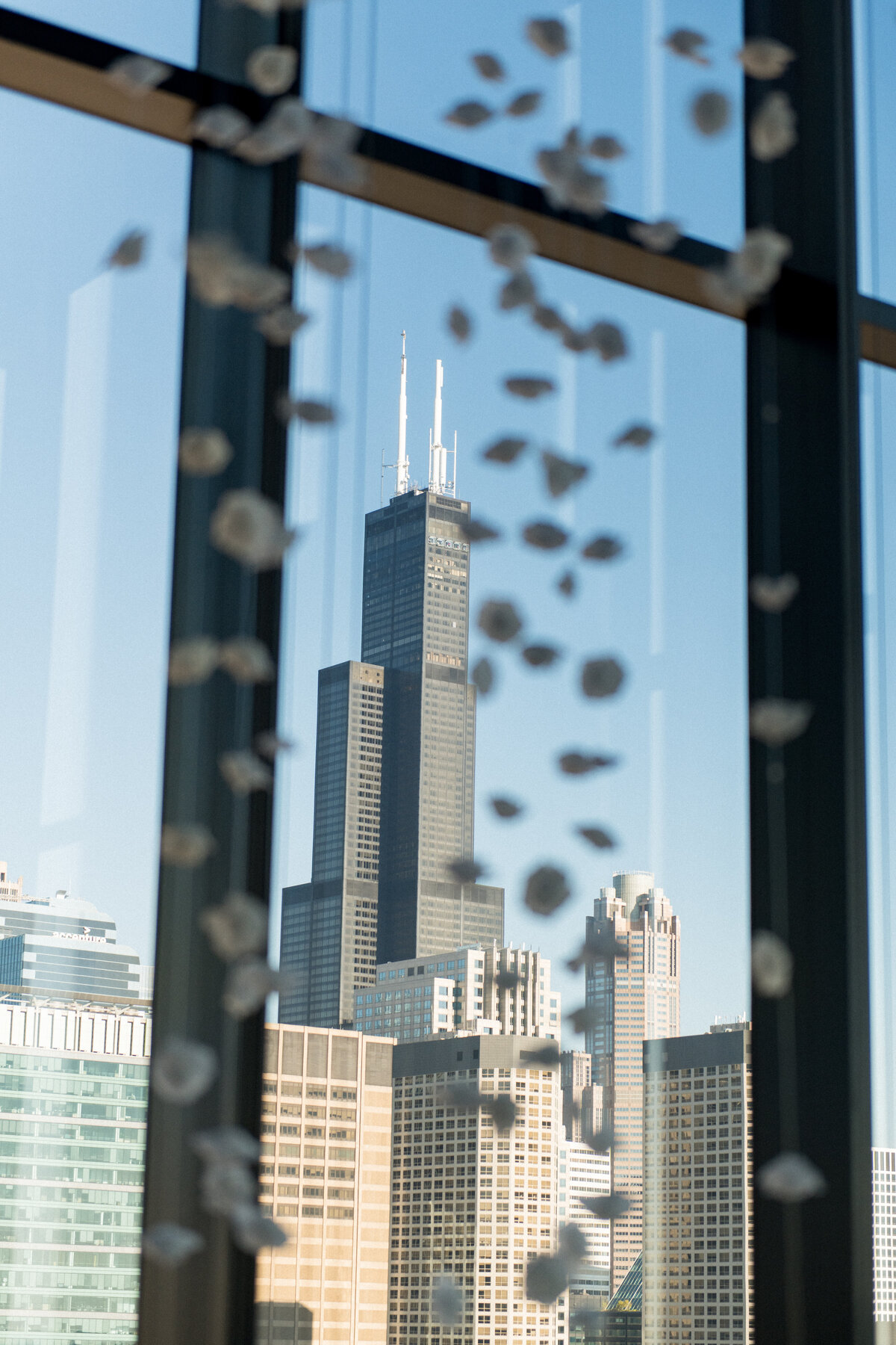 Ed and Aileen Photography Chicago Illinois Digital Film Wedding Engagement Photographers Destination 167 Events8