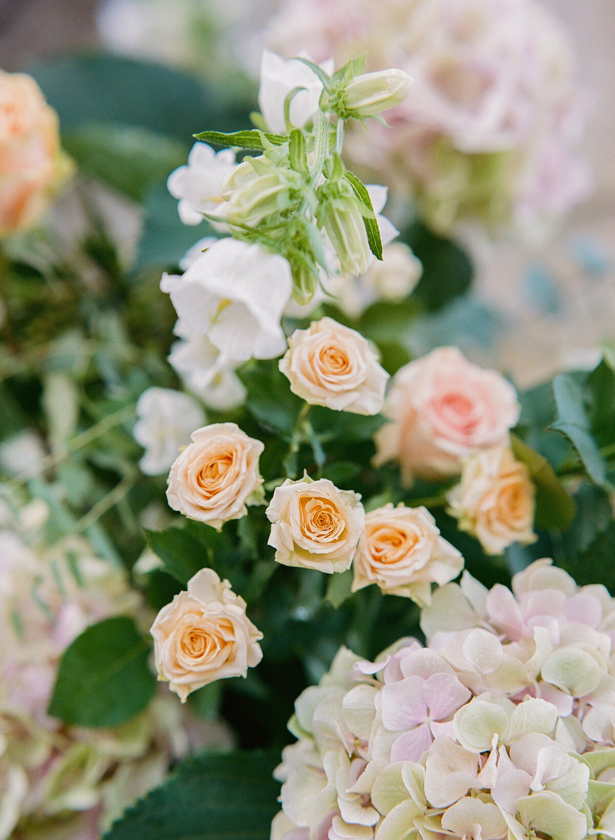 Chateau-de-Villette-Molly-Carr-Photography-Ceremony-8