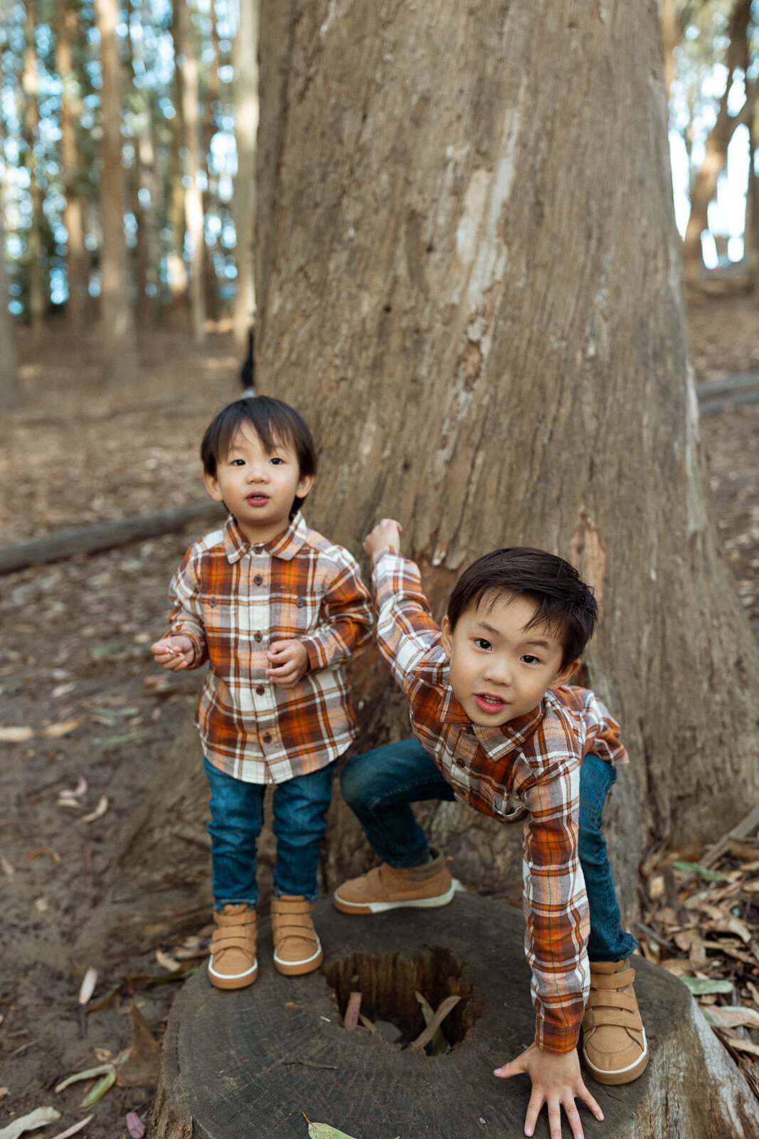 skyler-maire-photography-woodline-family-photos-22