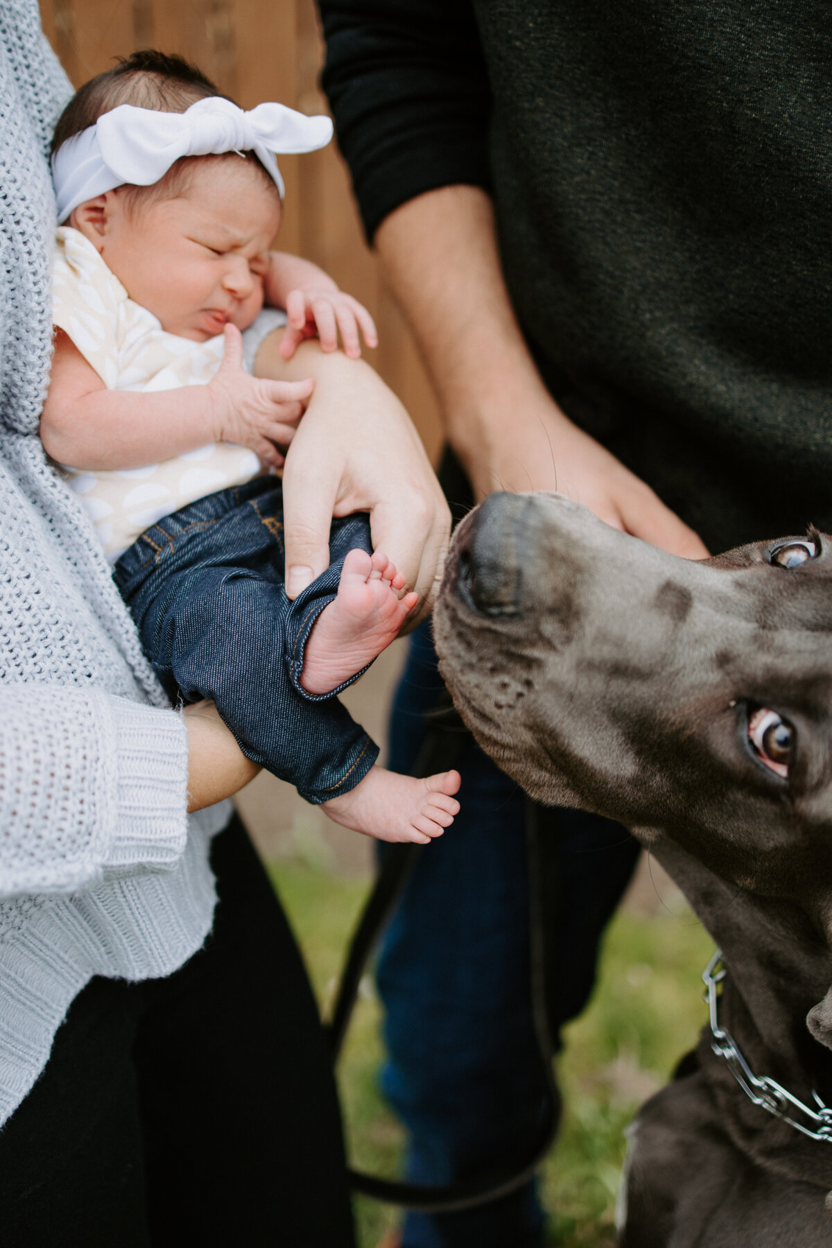 Seattle based motherhood, newborn and family photographer.
