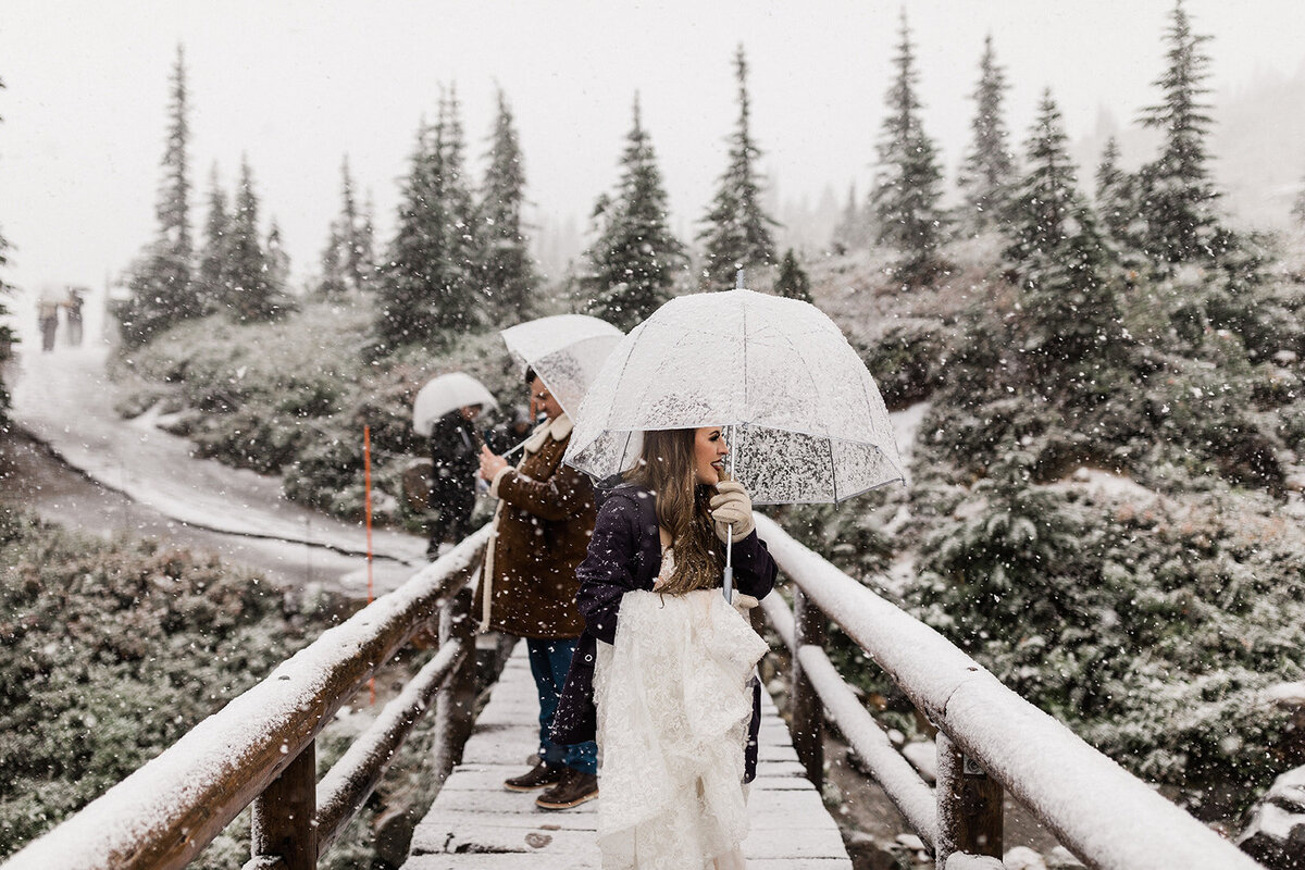 Rainy-Mount-Rainier-National-Park-Intimate-Wedding-77