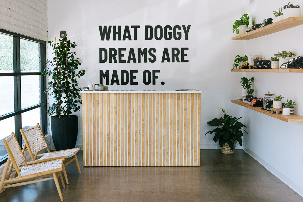 karissaferrerphotography-branding-barkcollective-18_websize