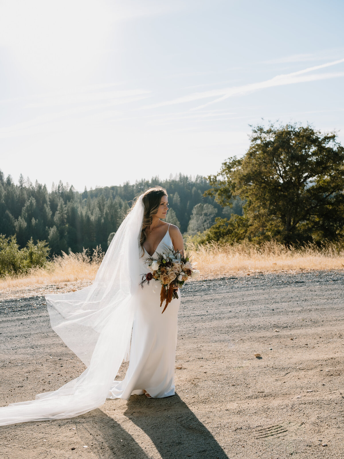 Black Oak Mountain Vineyards Wedding Venue-08837