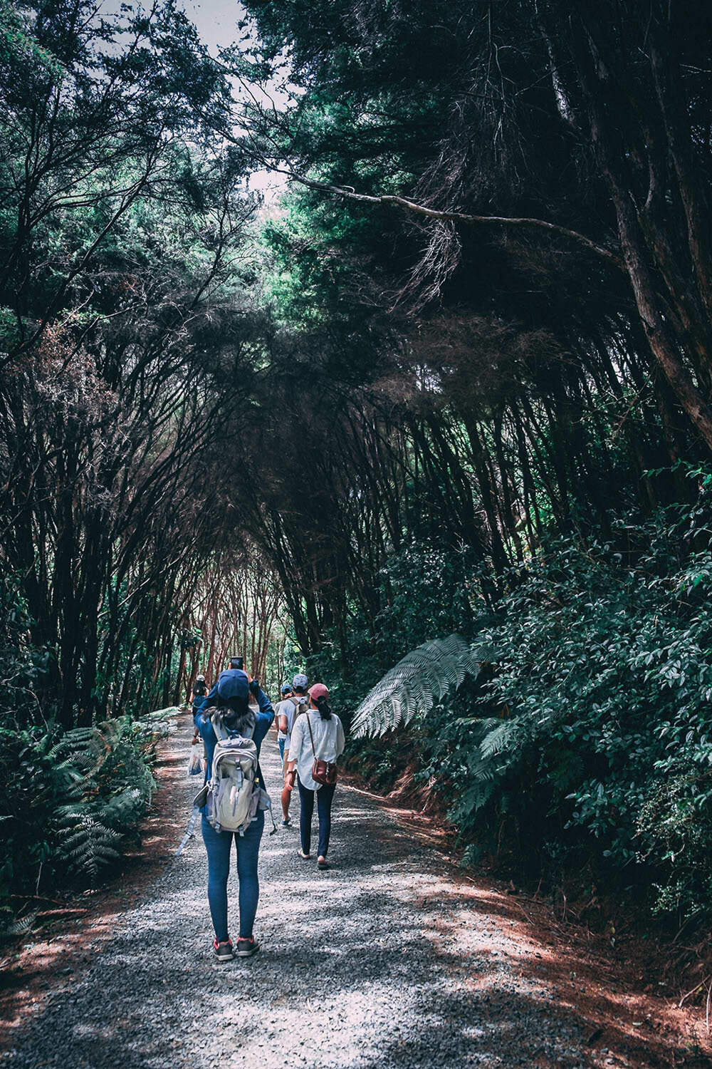 Wandelen met elkaar in de natuur groene bossen