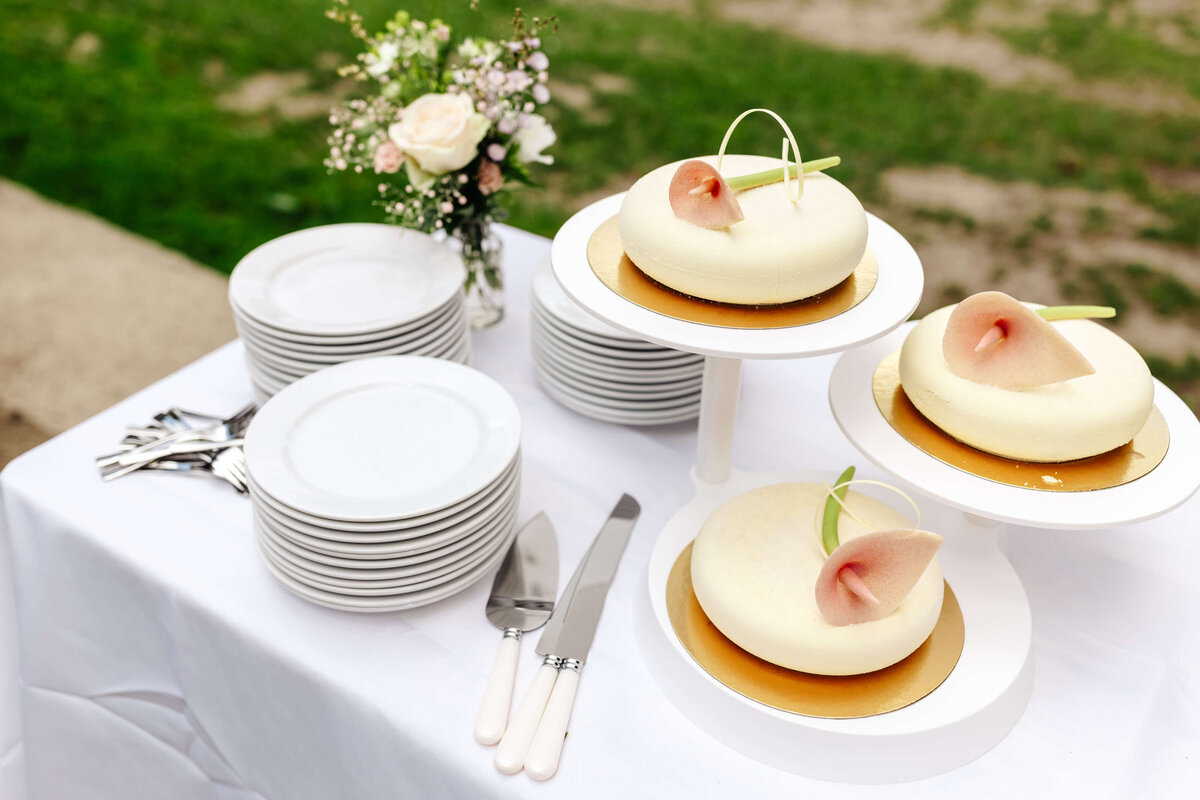 Nordic Destination Wedding Planner_14