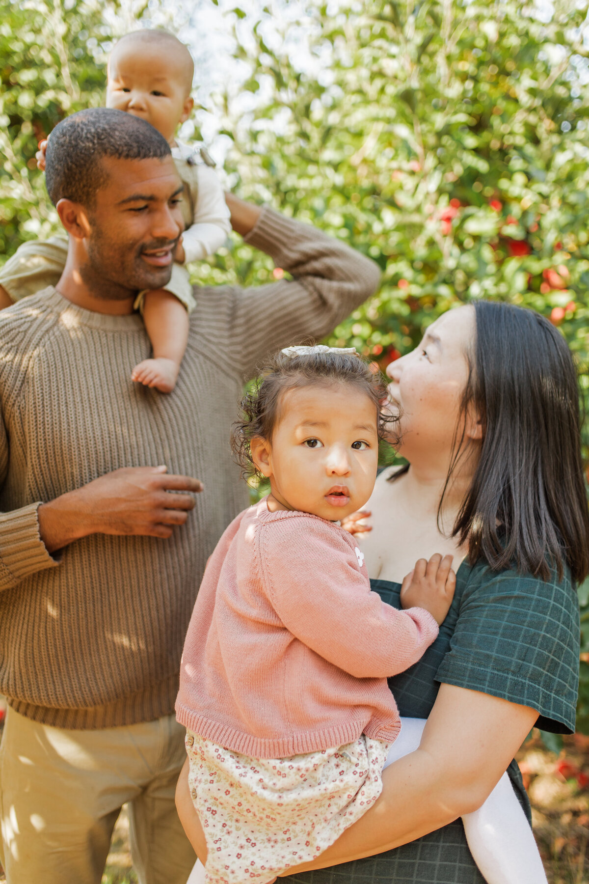 Family in an orchard, parents holding two young children