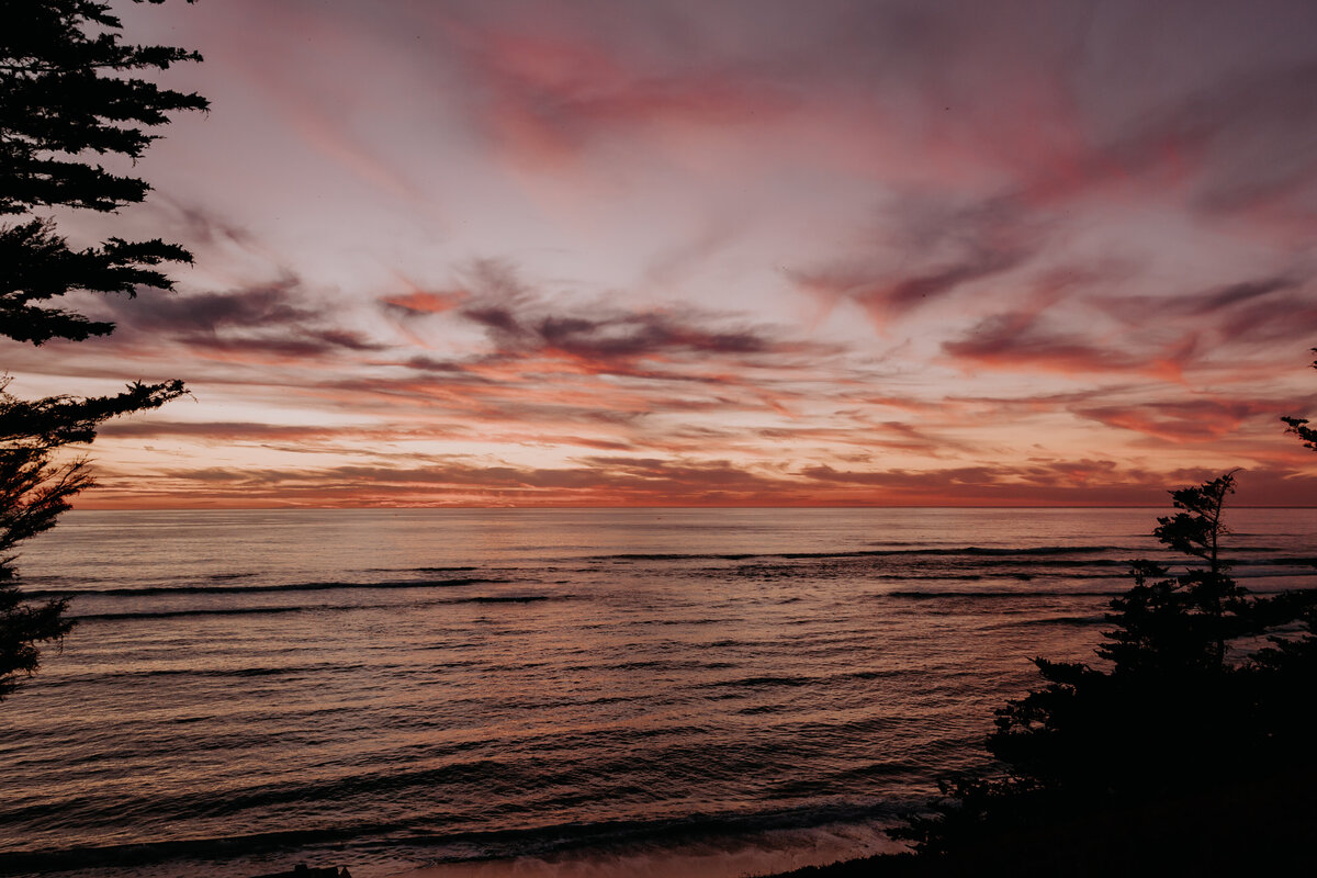 Oceano-Half-Moon-Bay-Wedding-Ruwi-Ben-Kassandra-Thomsen-Photography (565 of 993)