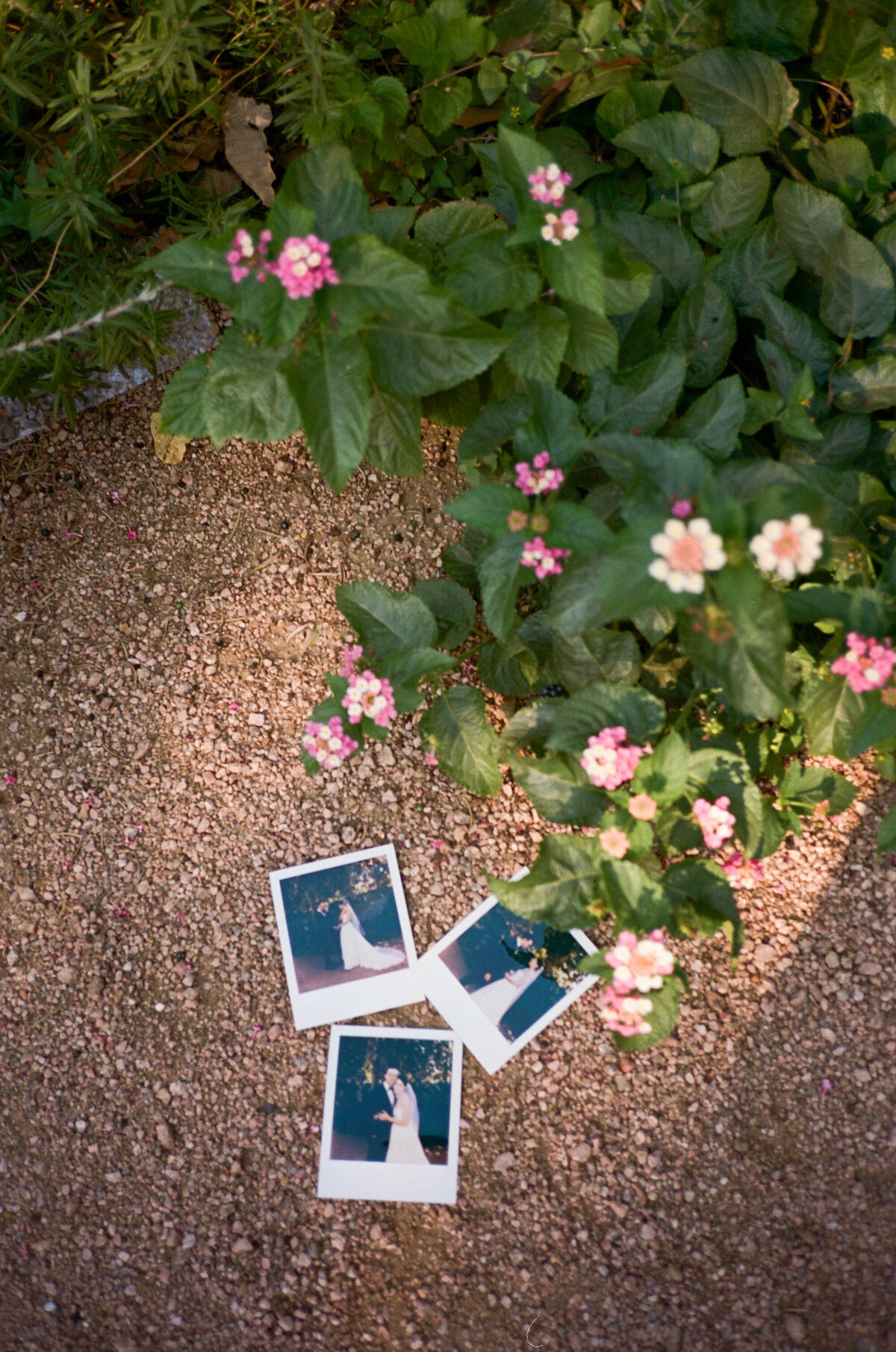 Julia + Taylor Wedding x LDMP2599