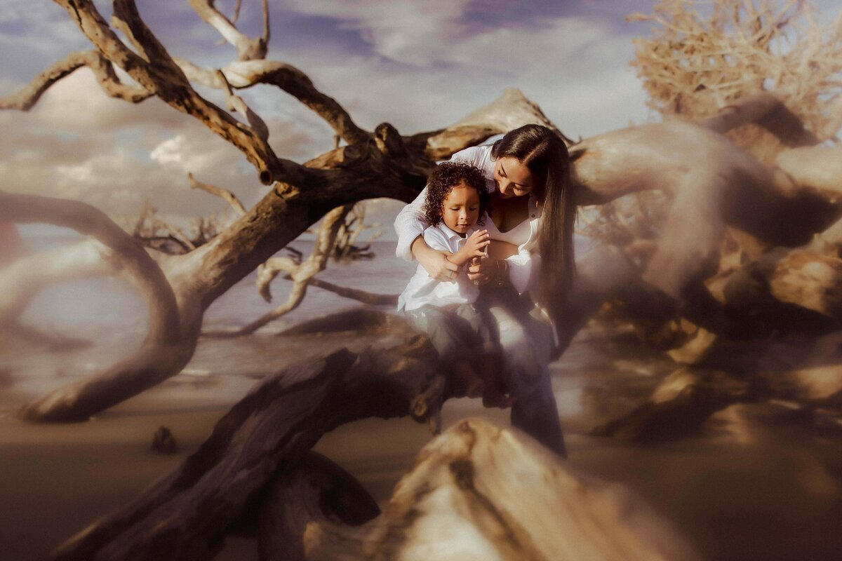 A woman embraces a child while sitting among twisted tree branches on a foggy beach.