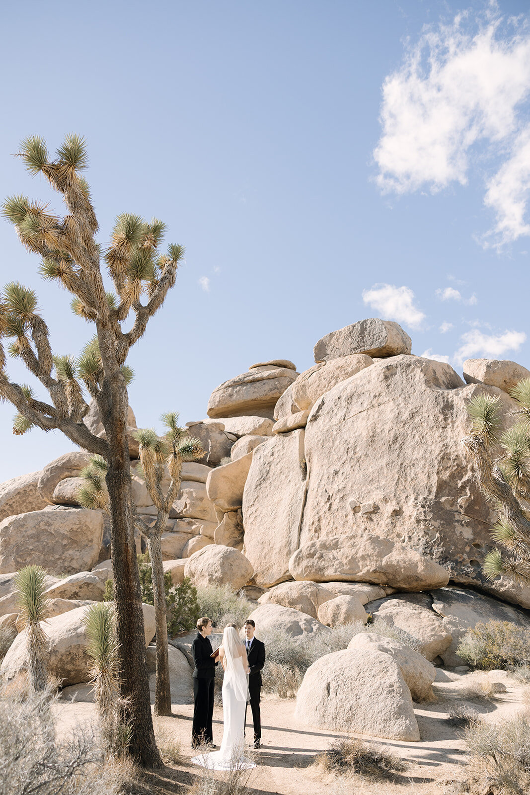 Kylee & Ryan Elopement _ Joshua Tree National Park California _ Michelle Allan Photography 75