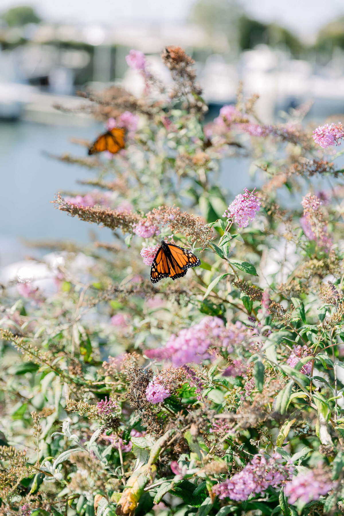 Peconic_Bay_Yacht_Club_Wedding_042