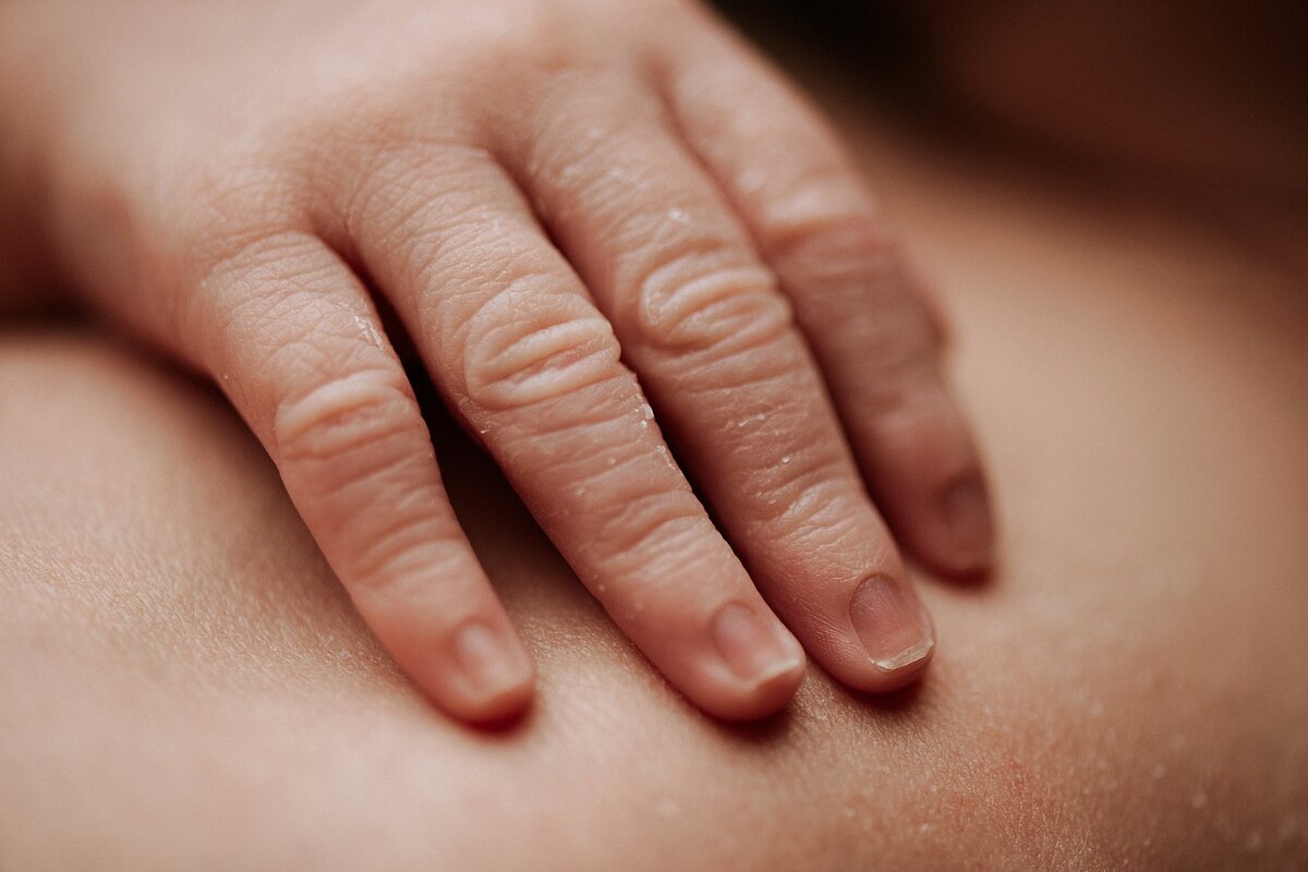 close up macro shot of a baby's details fingers in a newborn studio in springville alabama