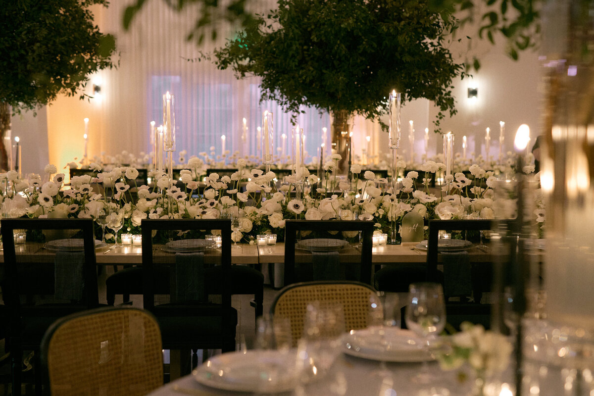 231202CAMEDD_adv0166