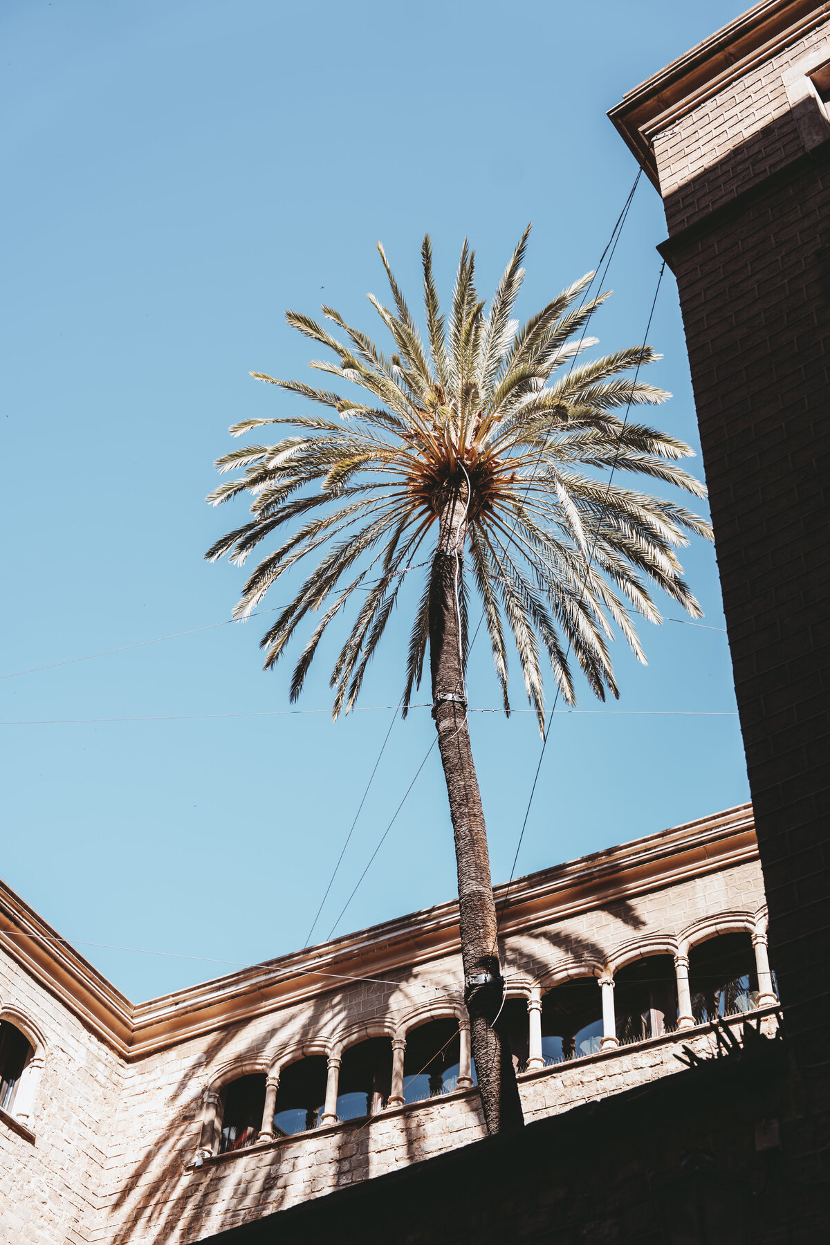 104-BARCELONA-2024-TERIVPHOTOGRAPHY