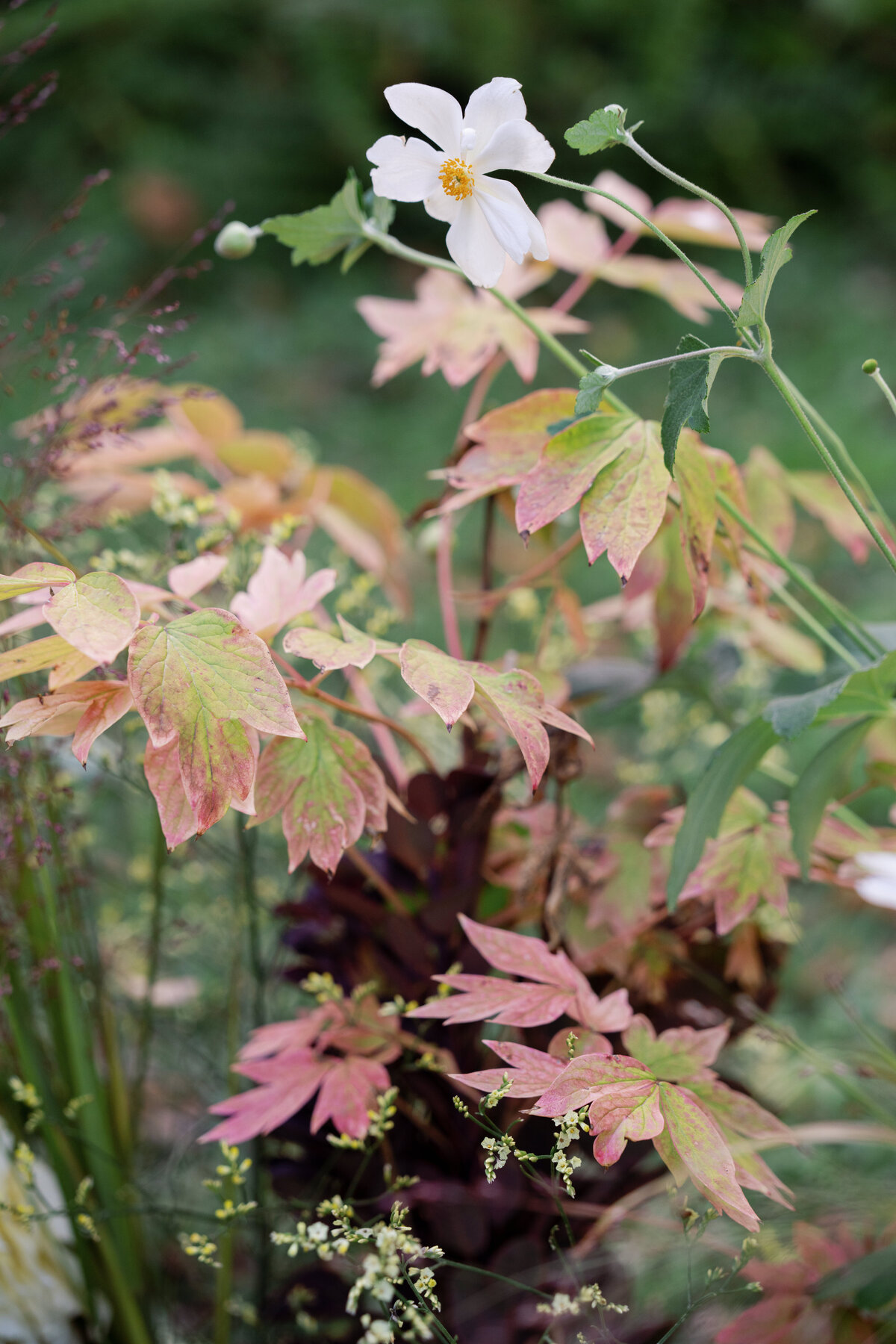 French Countryside Wedding Photos-14