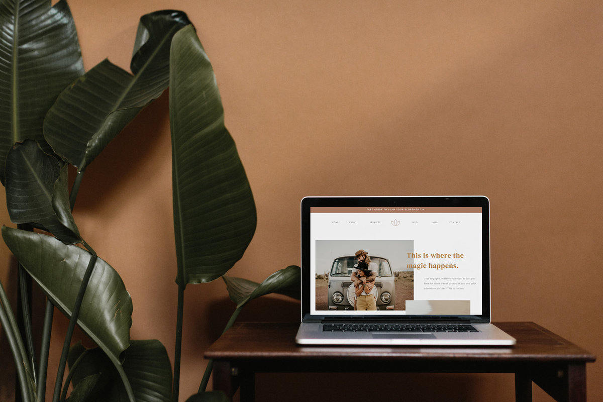 Shop Custom Quality Showit Templates The Buffalo Collective