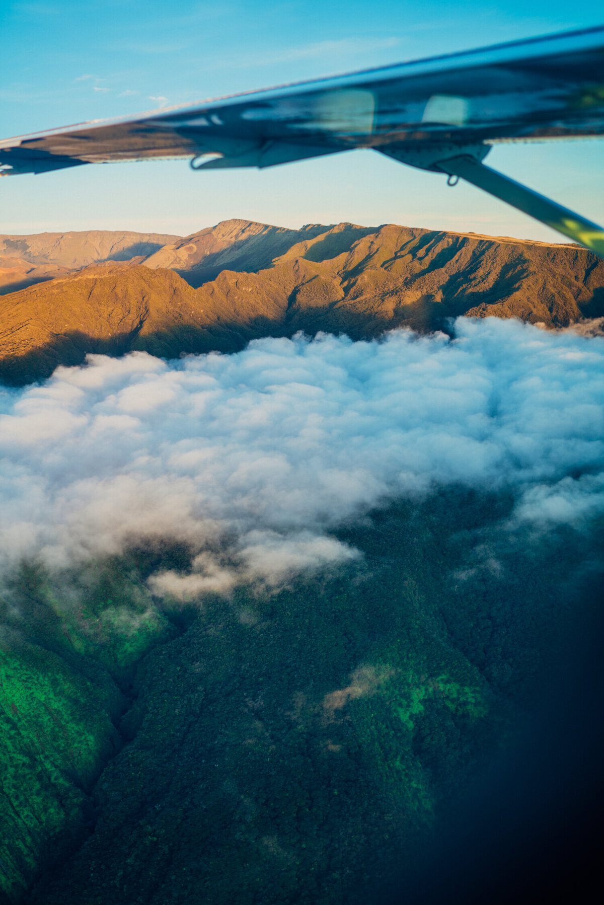 HawaiiPortfolio26
