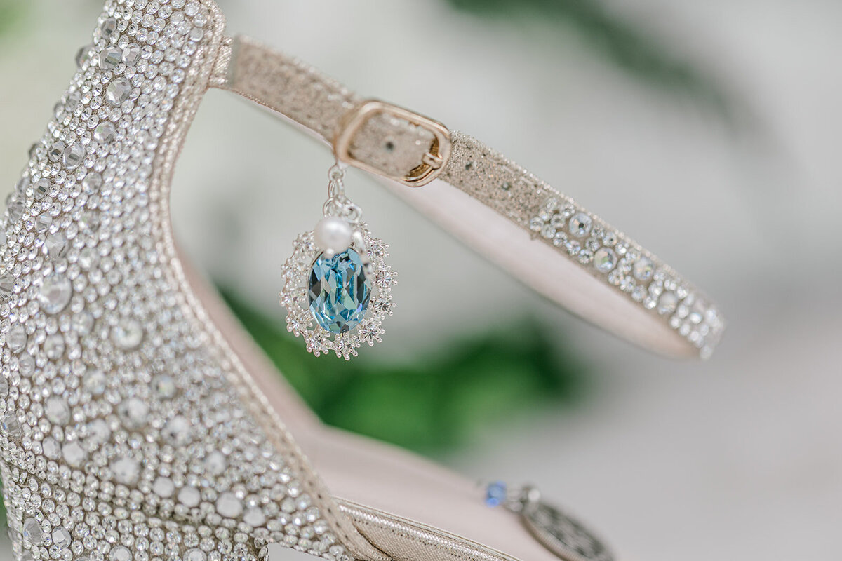Forever Love Chicago Wedding Photographer-3