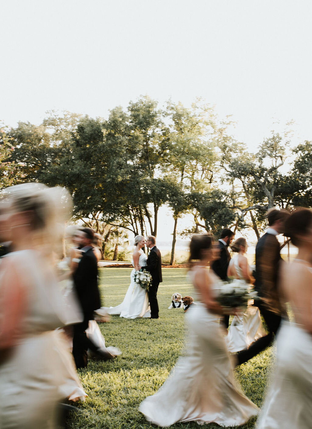 Charleston Wedding | Carolina Occasions 16