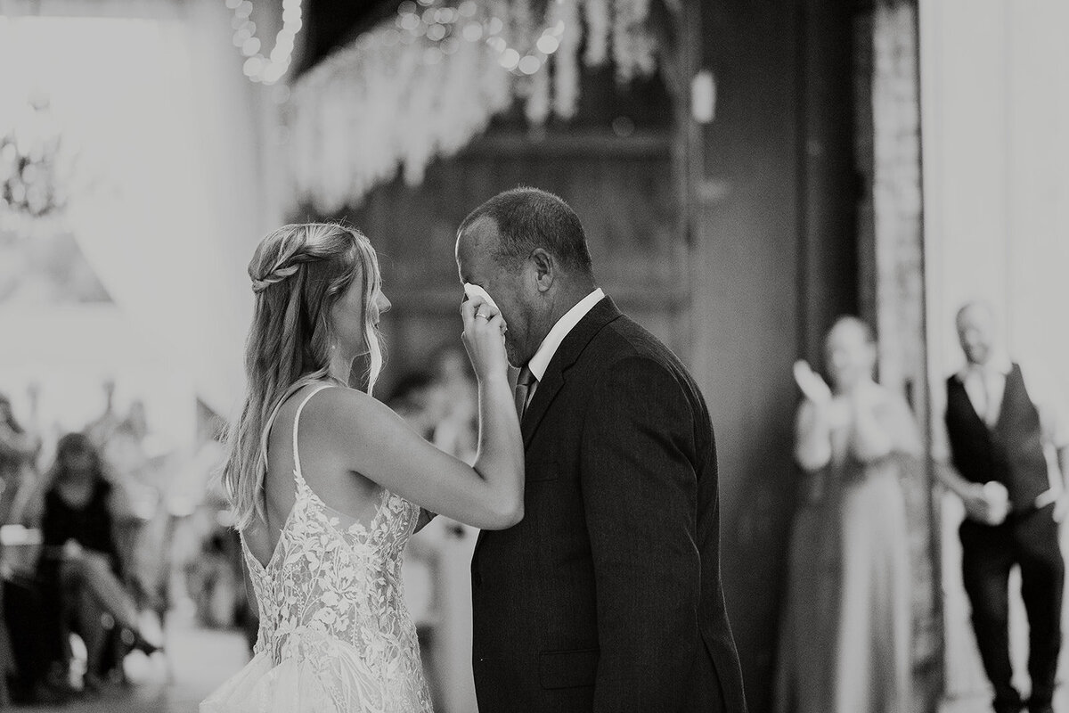 EmilyD'AngolaPhotography-The Vale Royal Barn Fenton Michigan- Couple and Wedding Photographer- June Summer Wedding25