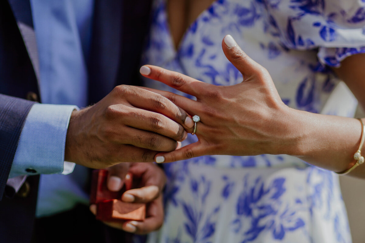 Srikar-Engagement-DC-14
