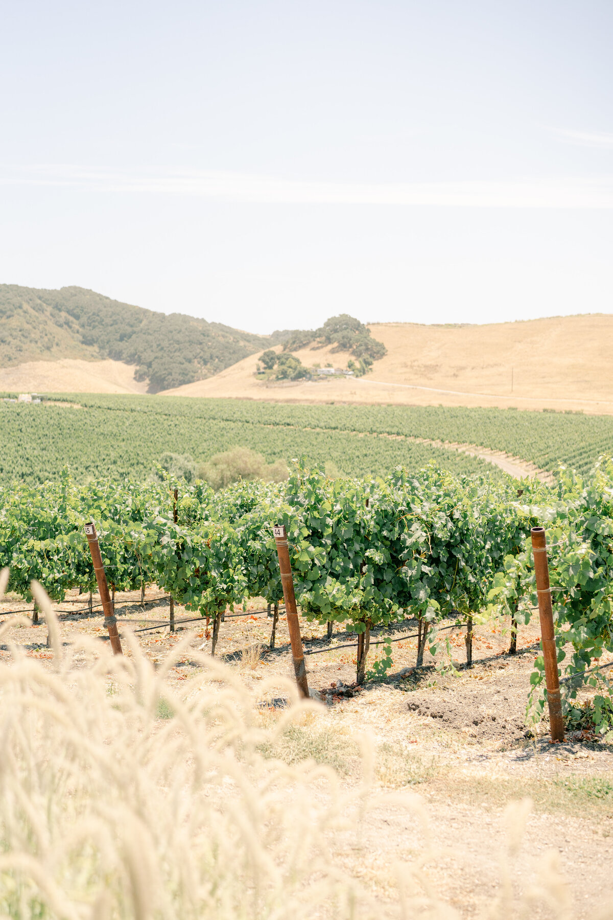 meganwelker-Jones-details-14