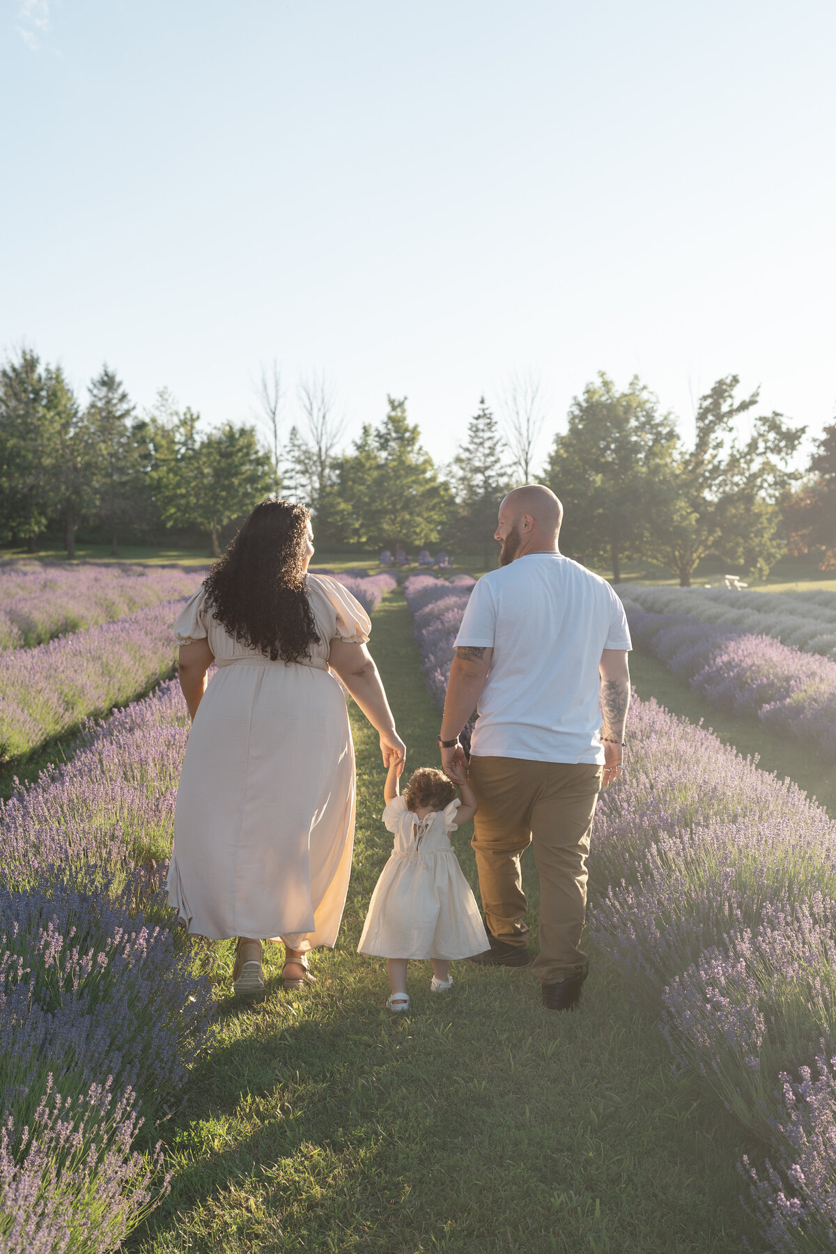 Lavender Minis - Jasmine-6