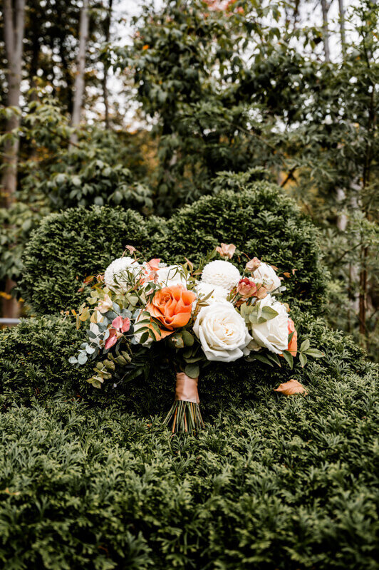 sapphire-creek-wedding-8