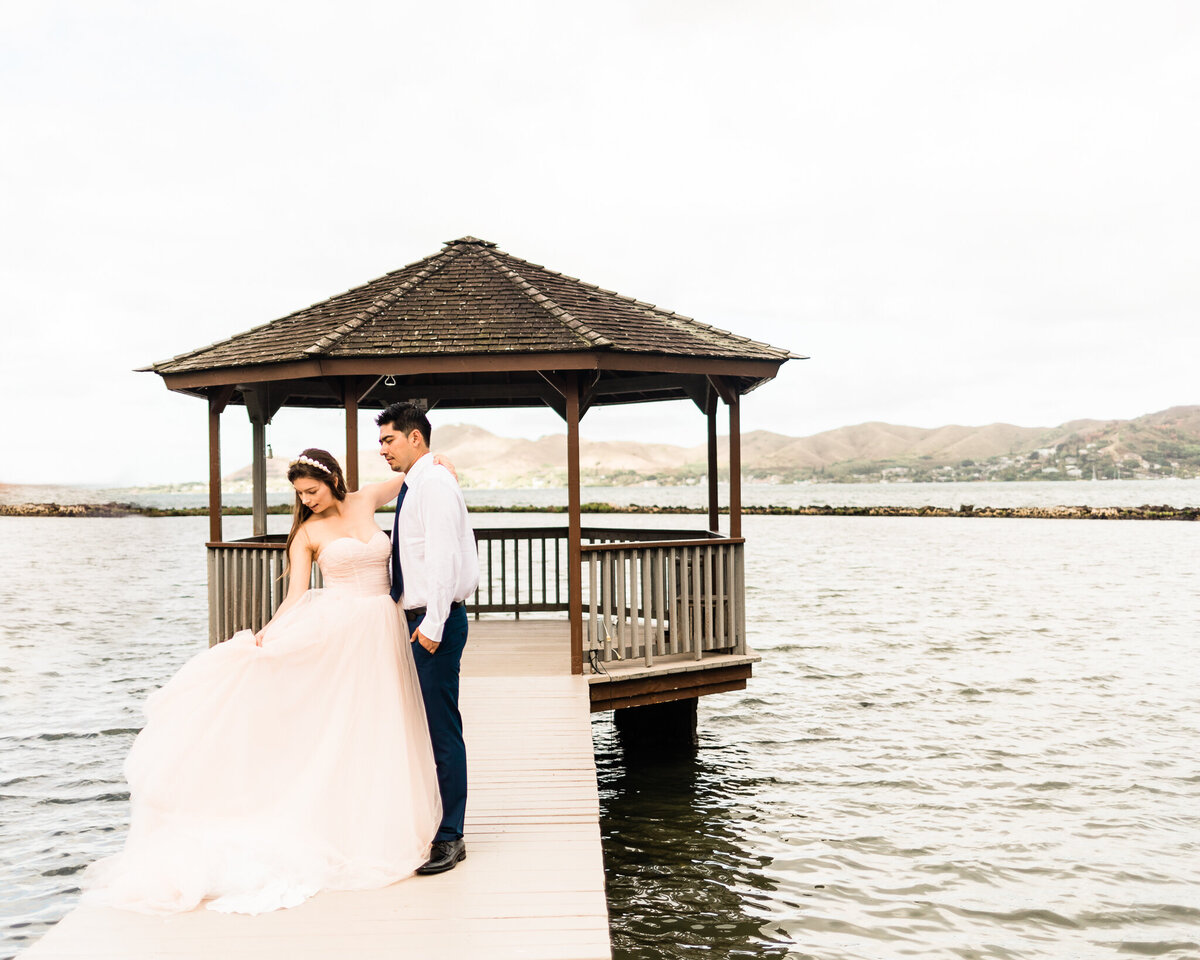 pink_wedding_gown_-7