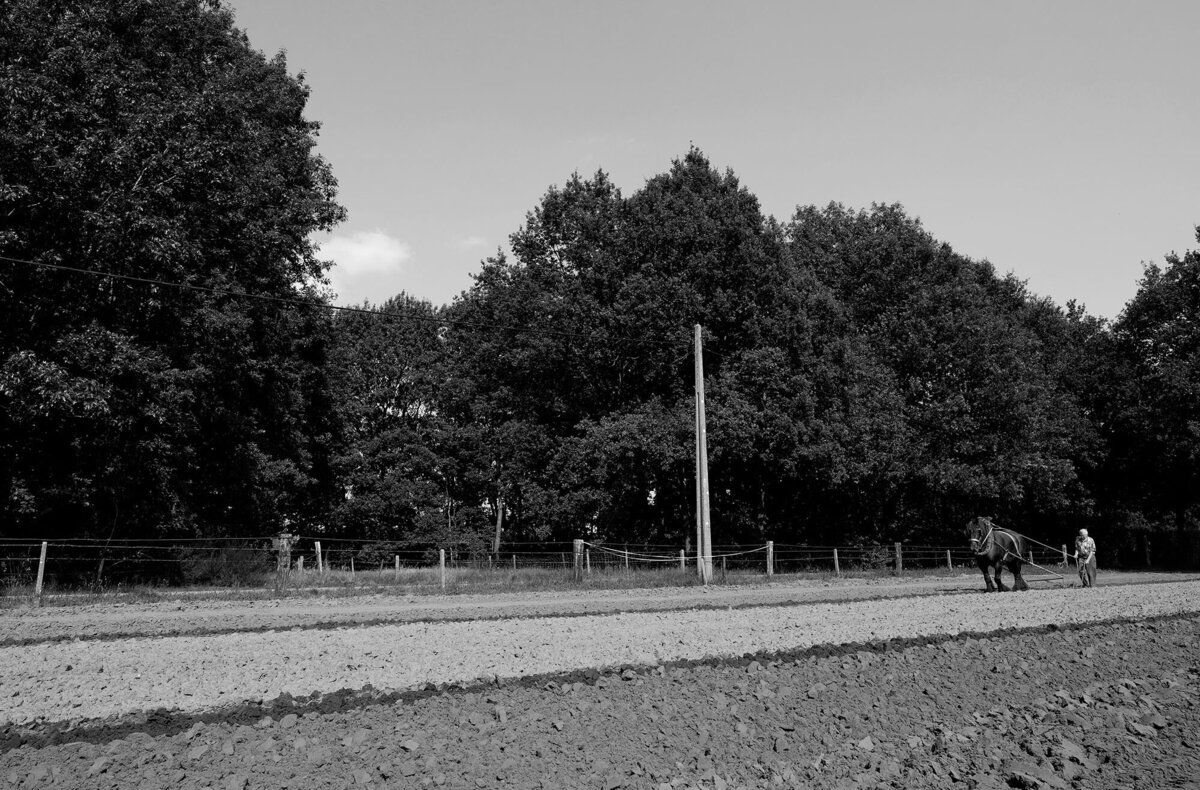 Bart Van der Moeren - De Stille Kempen - 041