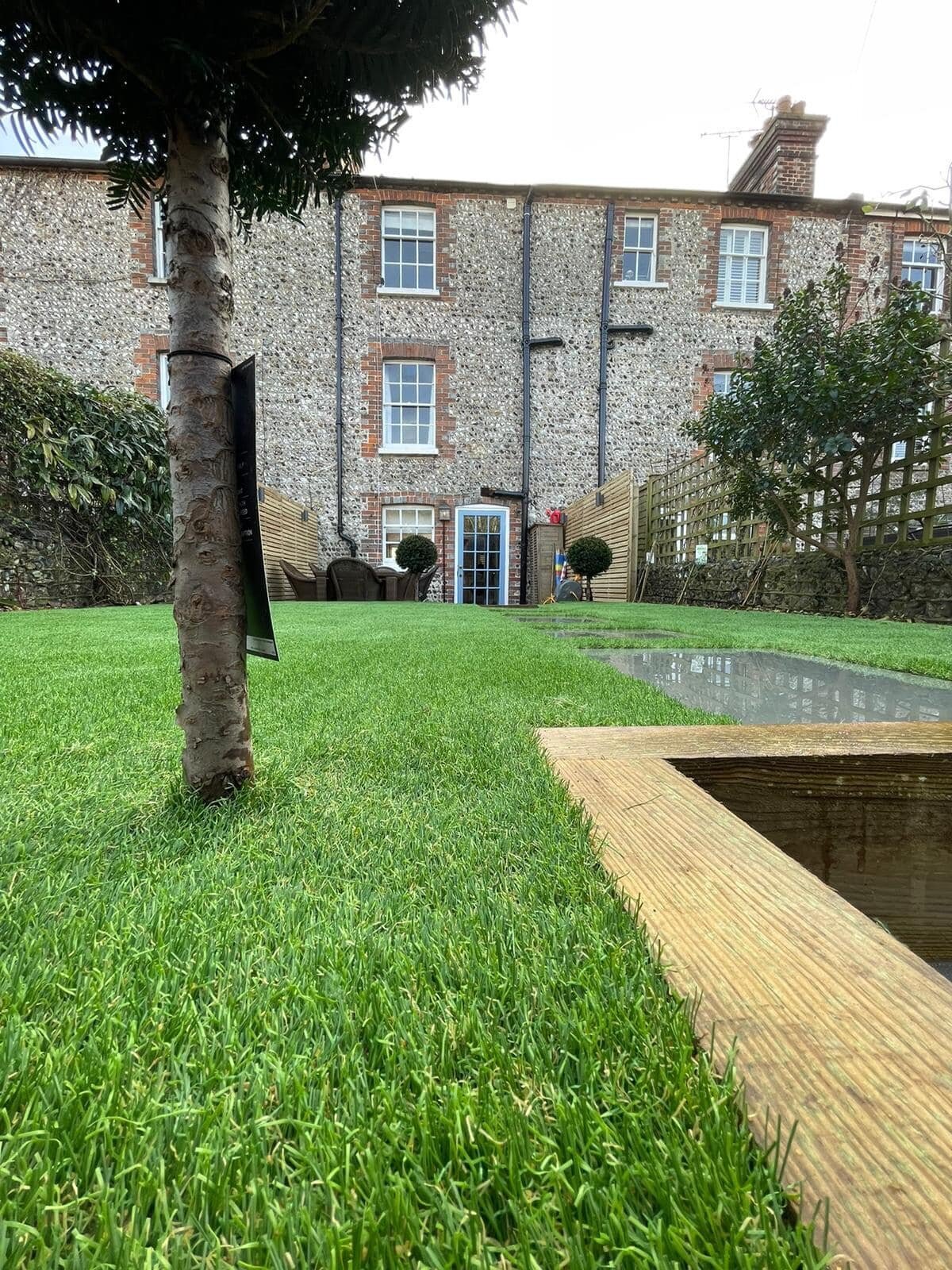 natural grass
