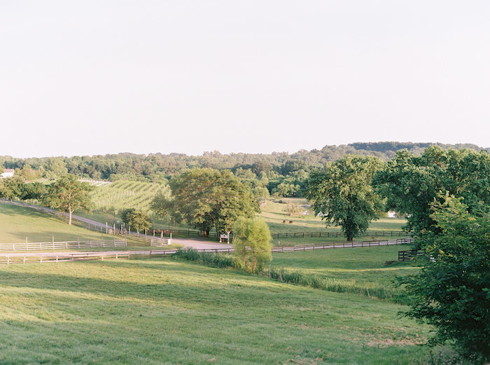 tranquility-farm-tented-wedding-northern-virginia00031