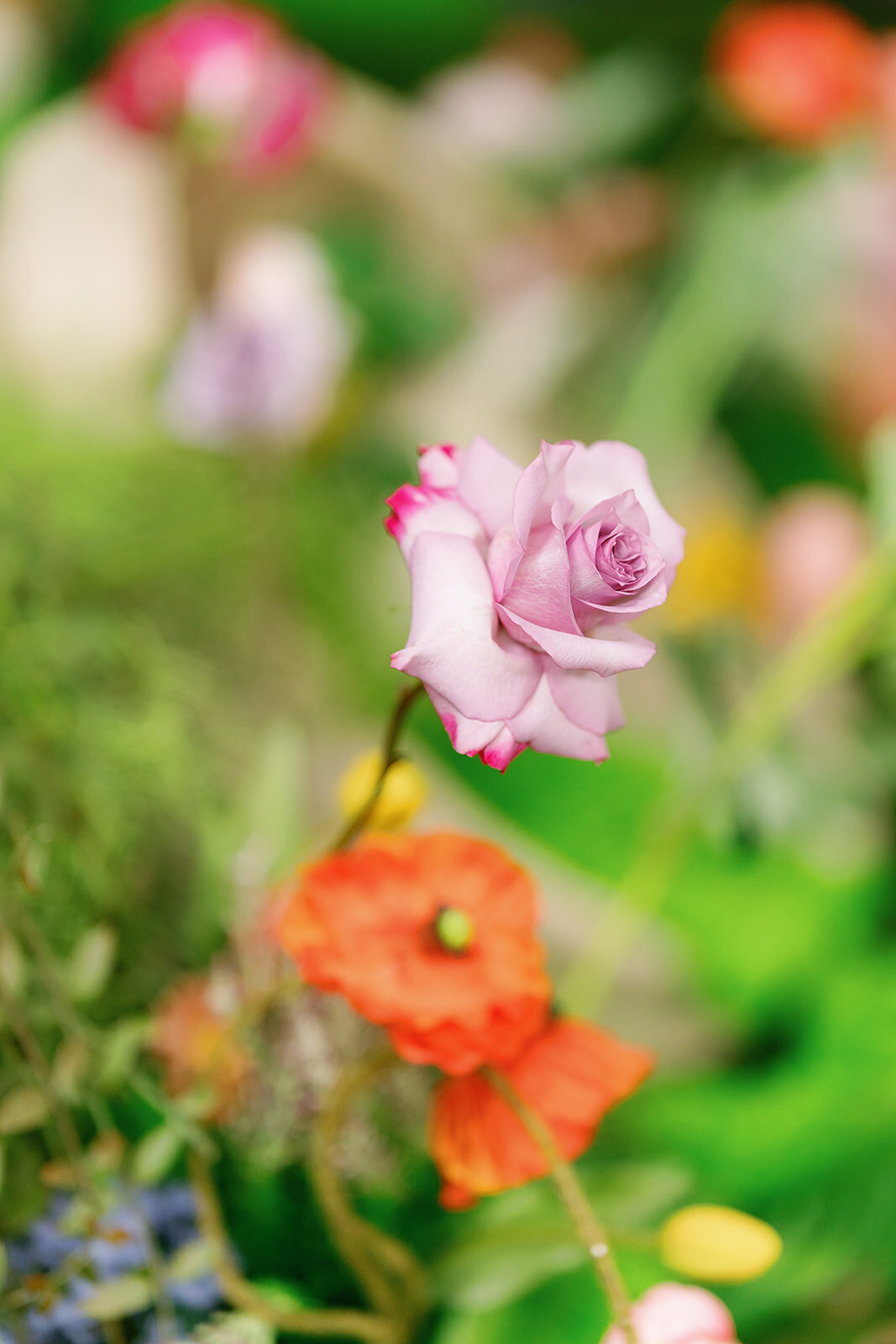 Mylo Styled Shoot 11.14.2024 (12 of 261)