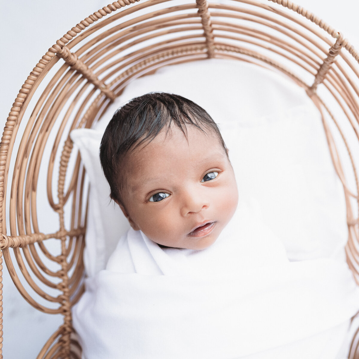 Image is of an awake newborn baby in a bamboo bassinet prop. Studio image by Lauren Vanier Photography