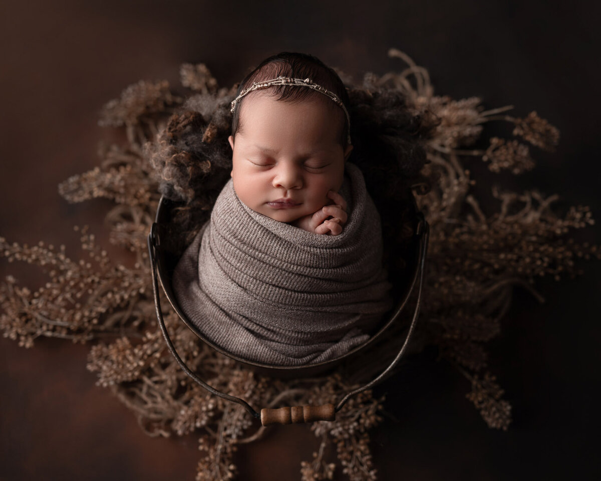Newborn baby rustic nest setup Lakeway professional maternity photographer