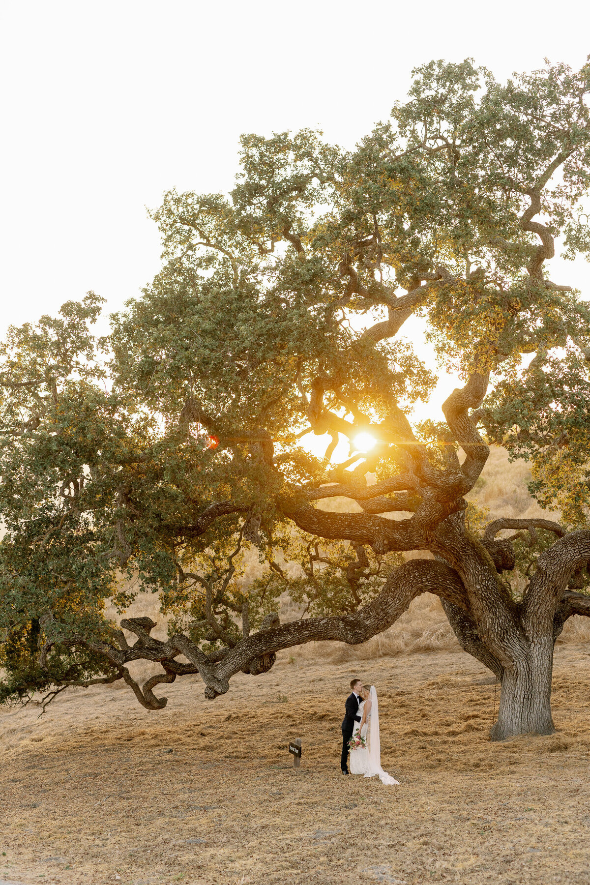 nd_holman ranch wedding_9.23.23_couple-159