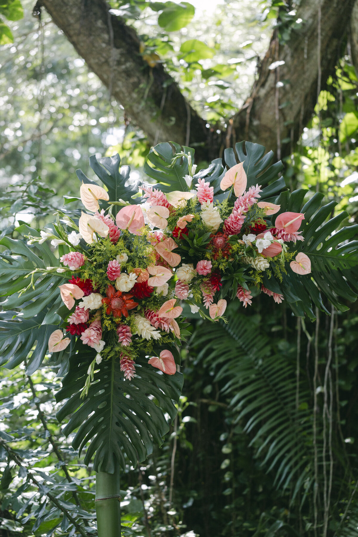 PERRUCCIPHOTO_BELIZE_DESTINATION_WEDDING_65